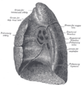 Thumbnail for version as of 17:28, 18 May 2026