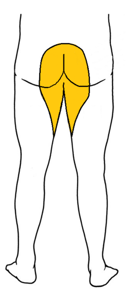 File:Saddle anesthesia.png