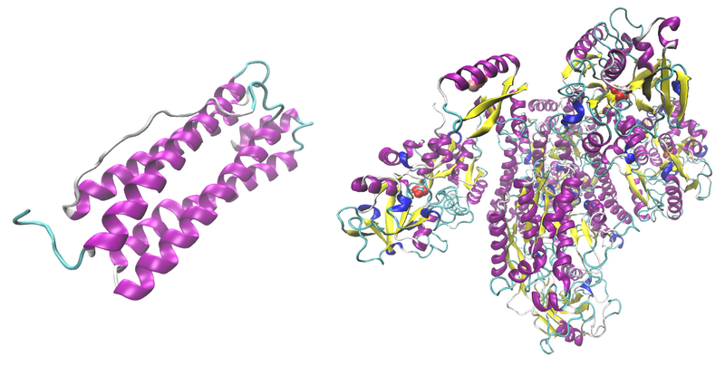 File:Comparison of ferritin and transferrin.png
