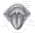 Thumbnail for version as of 17:28, 18 May 2026