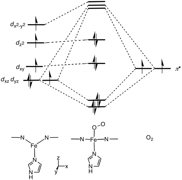File:MbO2MO.png