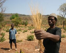 SEN Village Chief Theodore with Fonia
