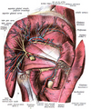Thumbnail for version as of 03:41, 2 June 2026