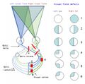 Thumbnail for version as of 15:54, 29 May 2026