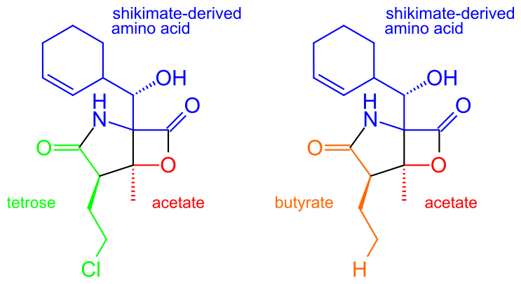 File:Salinosporamide A and B.svg