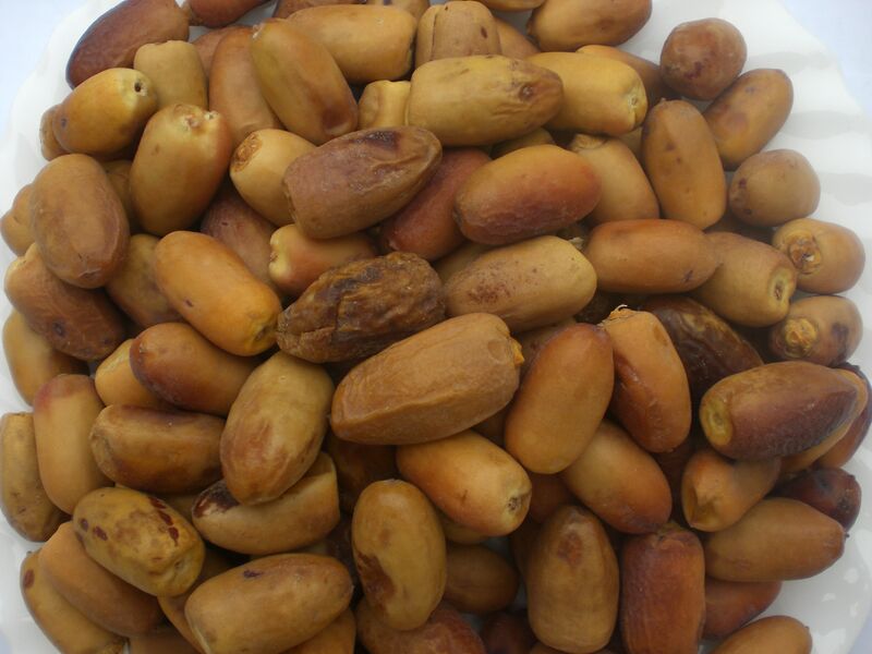File:1 Dattes Bejjou.JPG