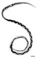 Thumbnail for version as of 01:22, 2 June 2026