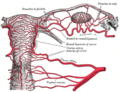 Thumbnail for version as of 17:28, 18 May 2026