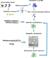 Thumbnail for version as of 12:34, 19 May 2026