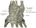Thumbnail for version as of 03:47, 18 May 2026