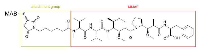 File:MMAF-MAB-conjugate skeletal.svg