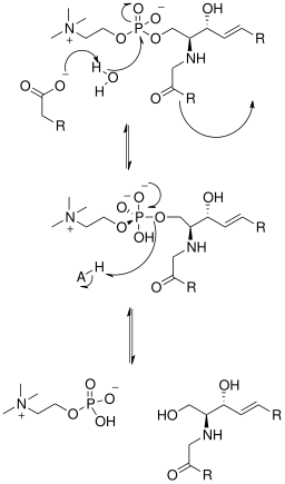 File:SMasemech.svg