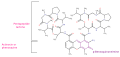 Thumbnail for version as of 14:56, 19 May 2026