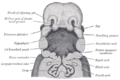 Thumbnail for version as of 17:28, 18 May 2026
