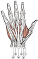Thumbnail for version as of 13:40, 23 May 2026