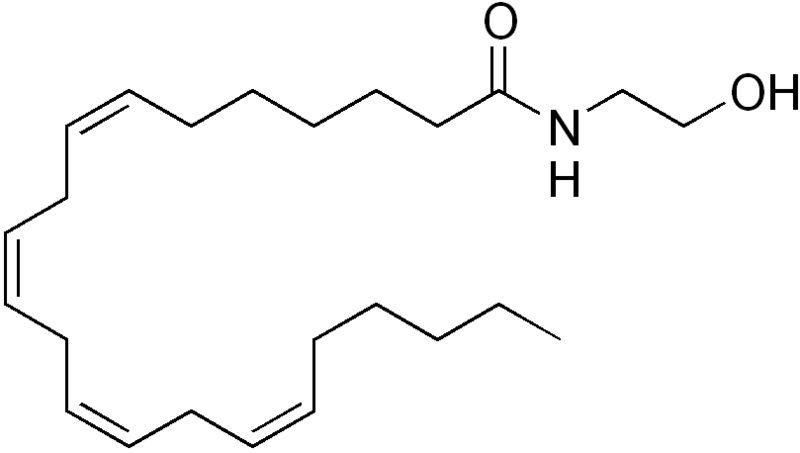 File:Docosatetraenoyl ethanolamide.png