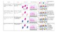 Thumbnail for version as of 22:28, 8 June 2026