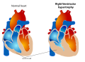 Thumbnail for version as of 00:59, 19 May 2026