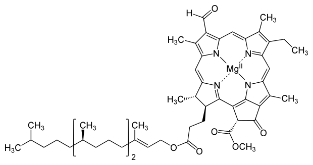 File:Chlorophyll d structure.svg
