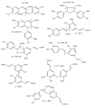 Thumbnail for version as of 02:08, 24 May 2026