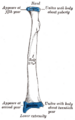 Thumbnail for version as of 17:28, 18 May 2026
