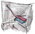 Thumbnail for version as of 03:00, 18 May 2026