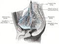 Thumbnail for version as of 17:28, 18 May 2026