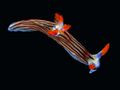 Thumbnail for version as of 22:26, 8 June 2026
