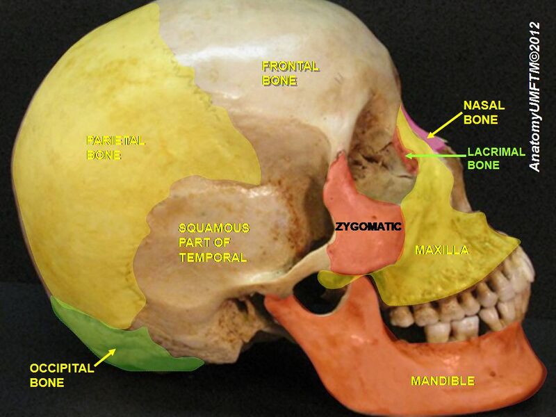 File:Slide7llll.JPG