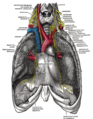 Thumbnail for version as of 17:28, 18 May 2026