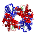 Alpha_helix