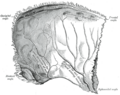 Thumbnail for version as of 17:28, 18 May 2026
