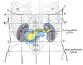 Thumbnail for version as of 17:28, 18 May 2026