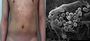 Thumbnail for version as of 22:31, 8 June 2026