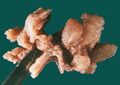 Thumbnail for version as of 03:33, 5 June 2026