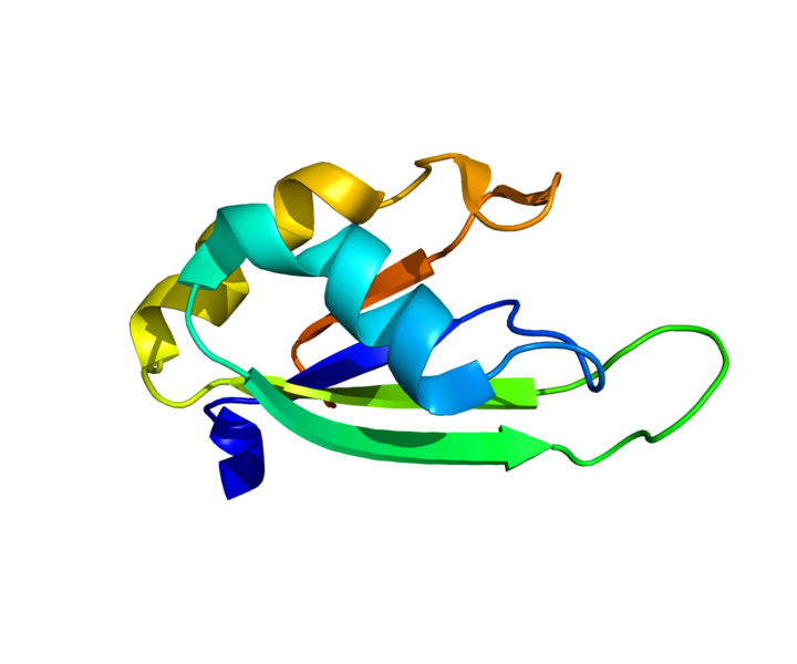 File:Protein PABPN1 PDB 3B4D.png