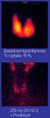 Thumbnail for version as of 13:40, 8 June 2026