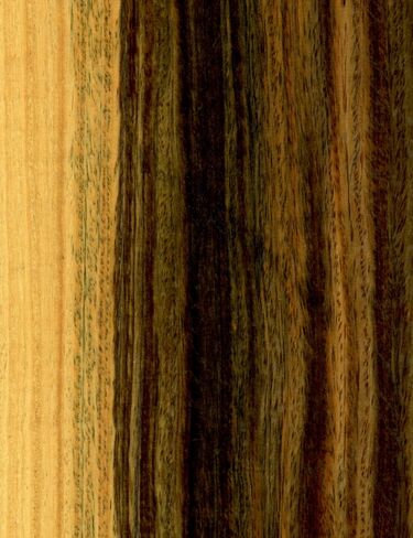 File:BulnesiaSarmientoi wood01.jpg