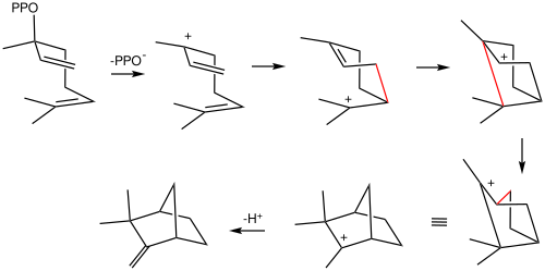 File:CampheneBiosyn.svg