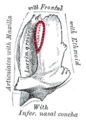 Thumbnail for version as of 17:27, 18 May 2026
