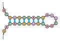 Thumbnail for version as of 12:34, 19 May 2026