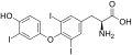 Thumbnail for version as of 22:11, 25 May 2026