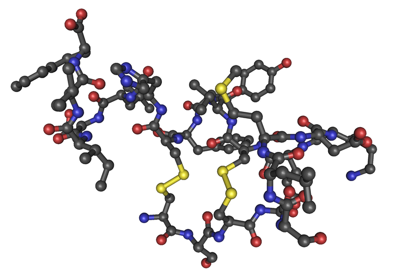 File:1EDN human endothelin1 02.png