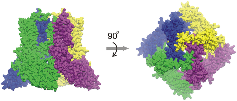 File:Figure 2 structure.png