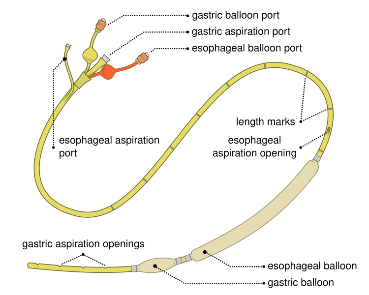 File:Sengstaken-Blakemore tube EN.svg