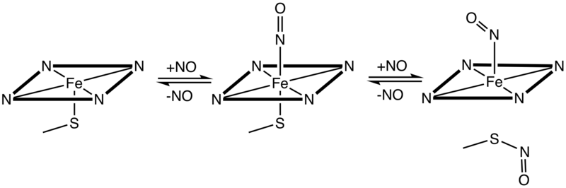 File:Fe-NO-porph.png