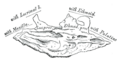Thumbnail for version as of 17:28, 18 May 2026