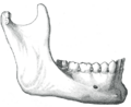 Thumbnail for version as of 17:28, 18 May 2026