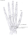 Thumbnail for version as of 13:39, 8 June 2026