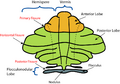 Thumbnail for version as of 02:27, 19 May 2026